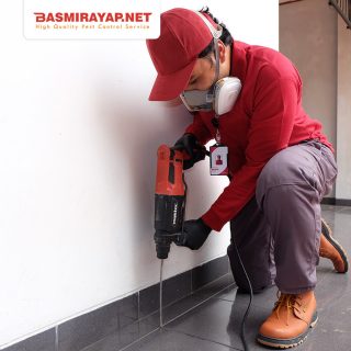 jasa basmi rayap