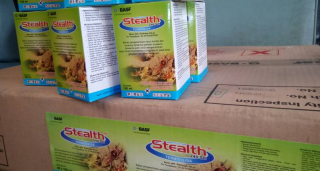 Gambar Obat Rayap Kayu Basf Stealth