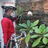 Jasa Basmi Tawon di Medan